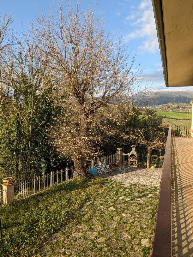 Villa Pacchini Poggio Mirteto Oda fotoğraf