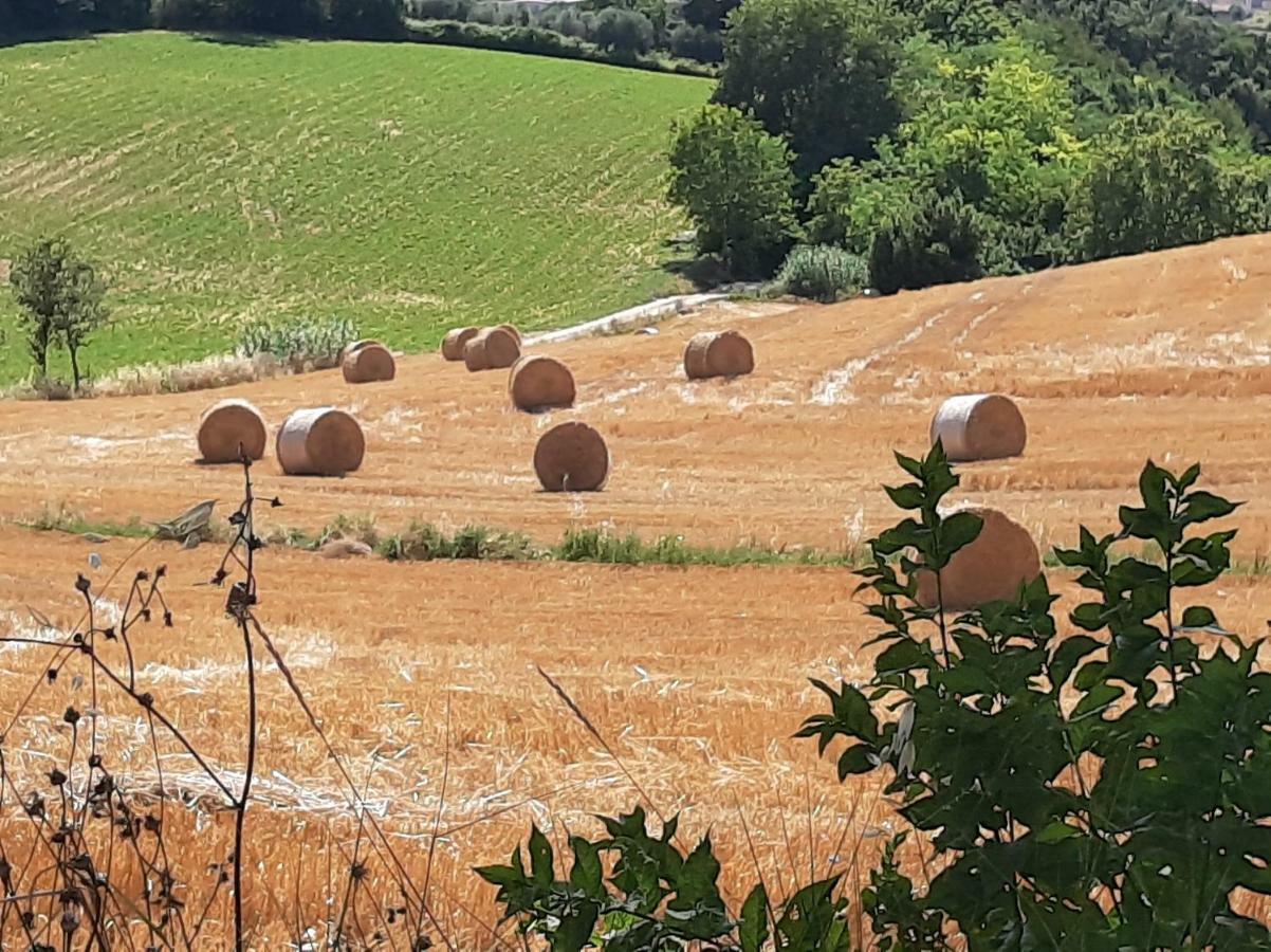 Villa Pacchini Poggio Mirteto Dış mekan fotoğraf